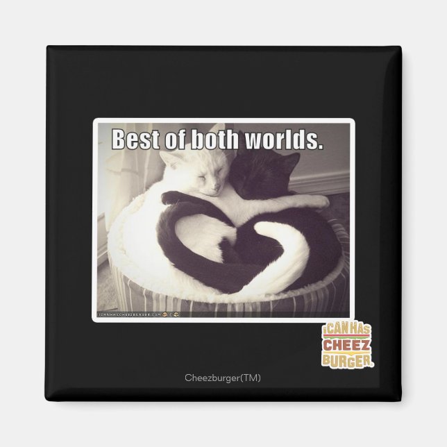 Aimant Le meilleur des deux mondes. (Devant)