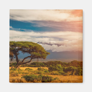 Aimant Le mont Kilimandjaro   Amboseli, Kenya