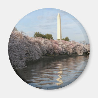 Aimant Le monument de Cherry Blossom Washington