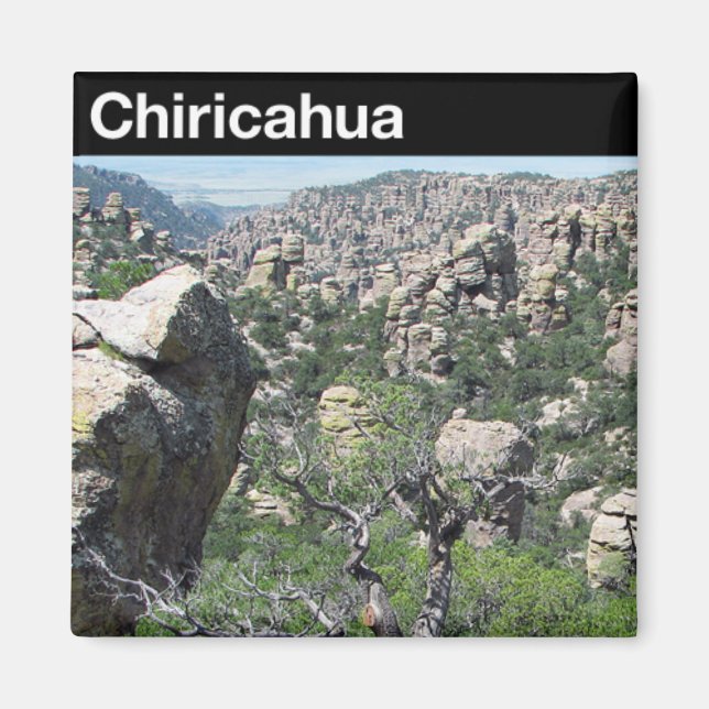 Aimant Le monument national de Chiricahua (Devant)