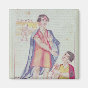 Aimant Le Murua du Codice