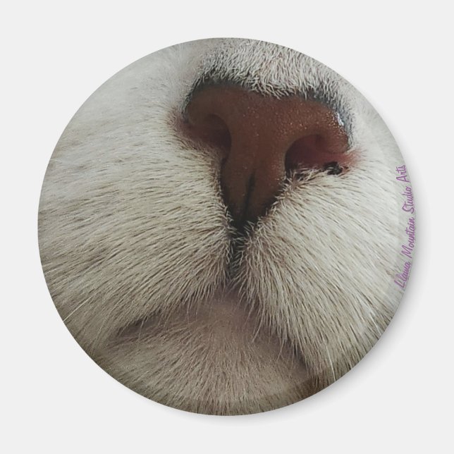 Aimant Le nez connaît l'aimant du noeud de chat #1 (Devant)