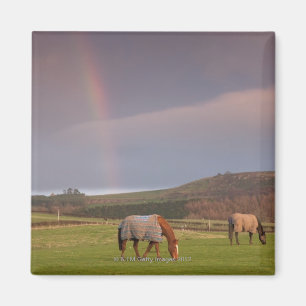 Aimant Le Northumberland, Angleterre