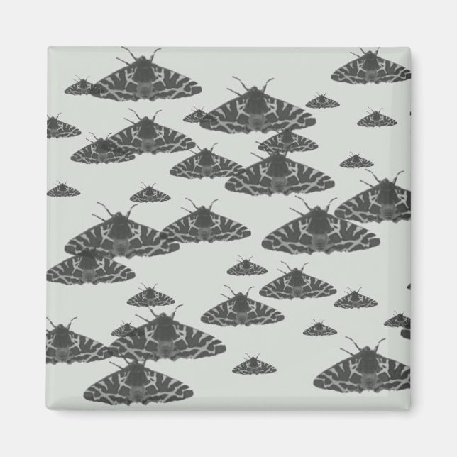 Aimant Le papillon de nuit à minuit (Devant)