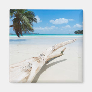 Aimant Le paradis tropical des Seychelles