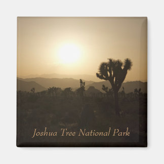 Aimant Le Parc national de Joshua Tree