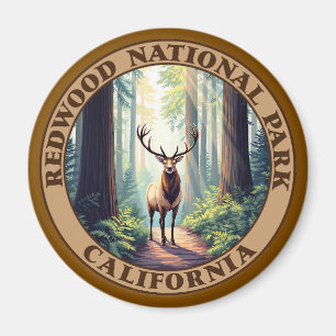 Aimant Le parc national de Redwood Californie