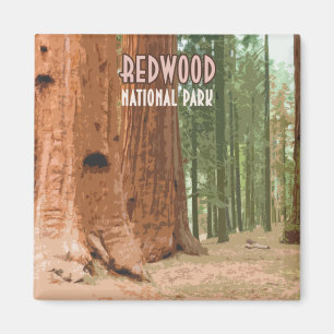 Aimant Le parc national de Redwood Californie
