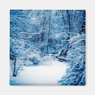 Aimant Le pays des merveilles d'hiver