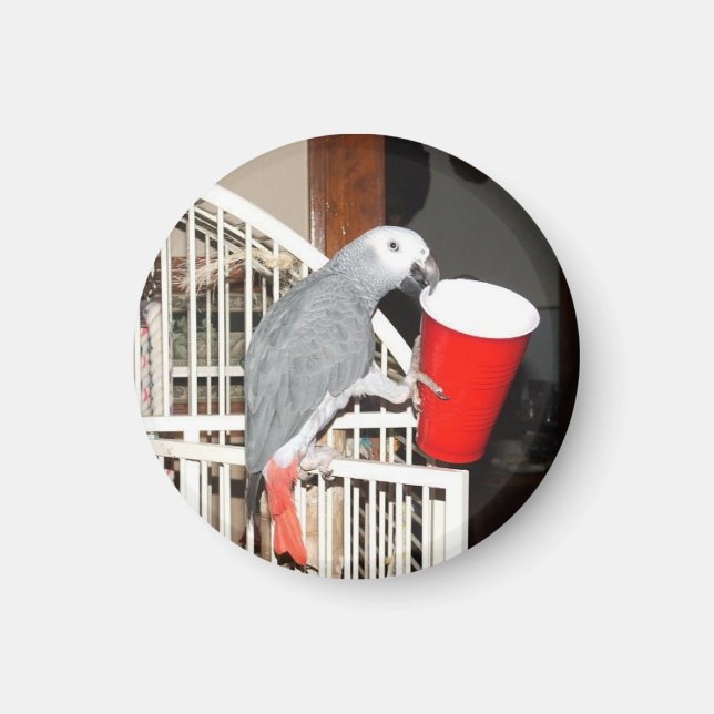 Aimant Le perroquet gris africain tenant une tasse (Devant)
