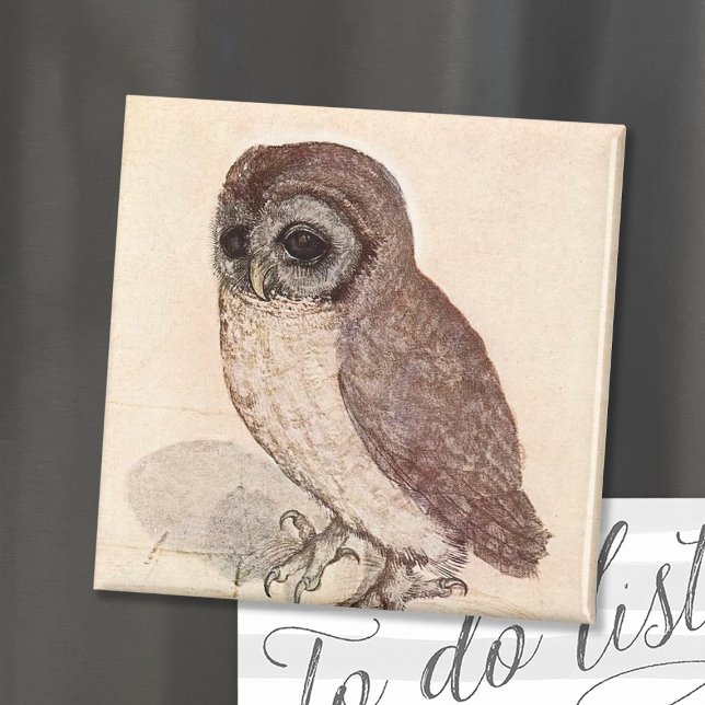 Aimant Le Petit hibou | Albrecht Dürer (Créateur téléchargé)