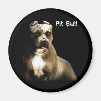 Aimant Le PITbull