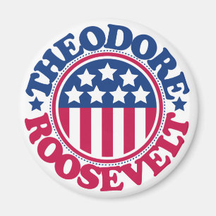 Aimant Le Président Theodore Roosevelt des USA