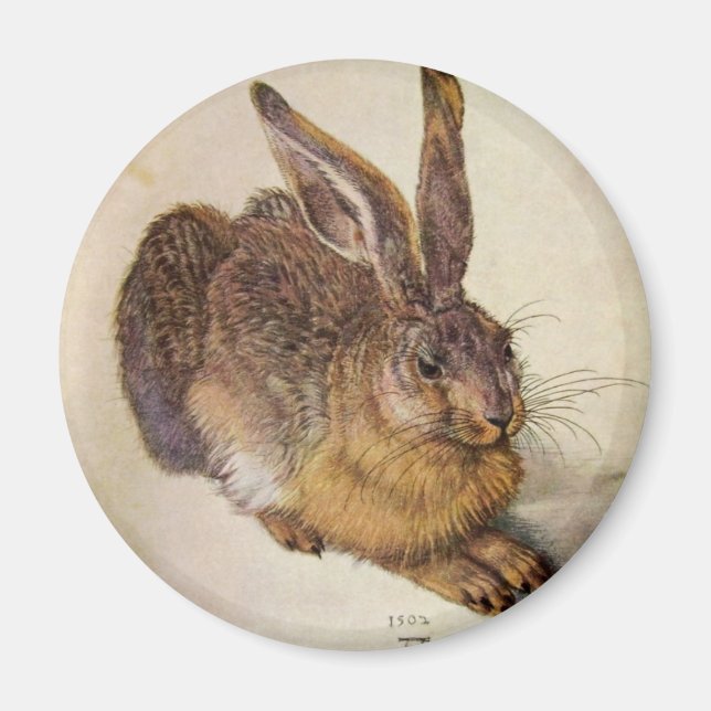 Aimant LE RABBIT ( Jeune Lièvre ) (Devant)