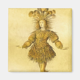 Aimant Le Roi Louis XIV de la France