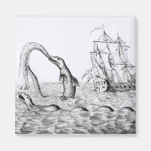 Aimant Le Serpent De Mer (Devant)