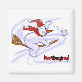 Aimant Le Snowman Sur Le Broom