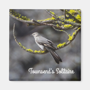 Aimant Le Solitaire de Townsend