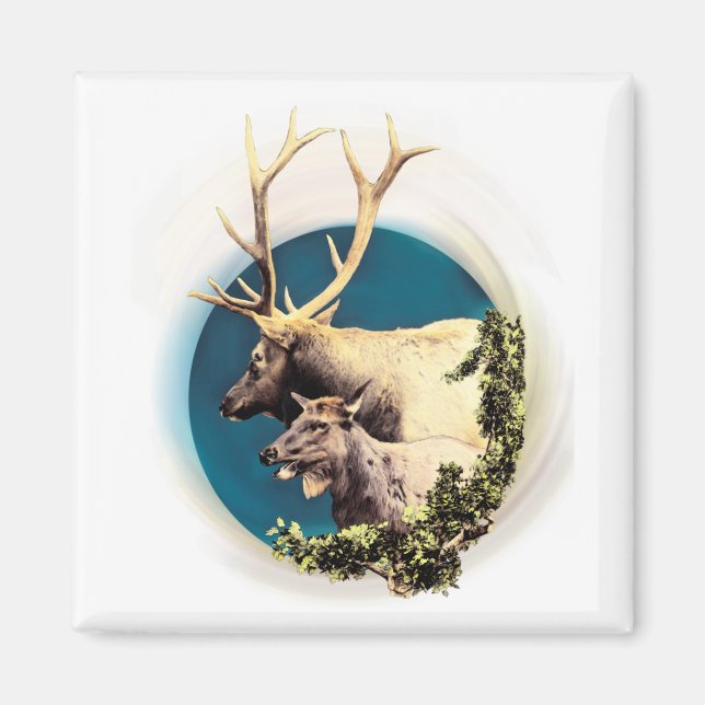 Aimant Le Stag et l'Arrière (Devant)