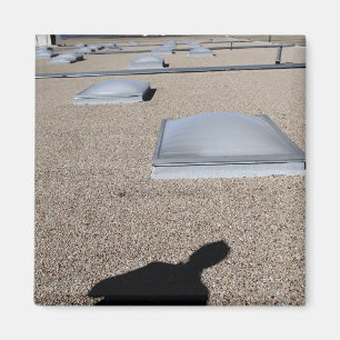 Aimant Le système de d'éclairage de jour solaire