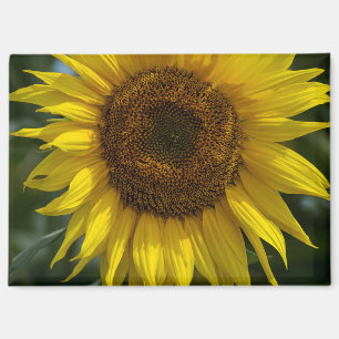 Aimant - Le Tournesol Jaune