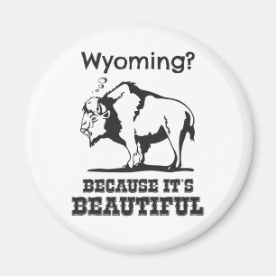 Aimant Le Wyoming ? Parce que c'est beau