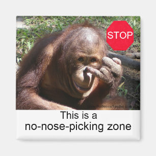 Aimant Leçons sur la vie animale no 1