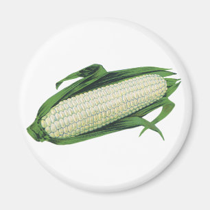 Aimant Légumes vintage, maïs blanc en épi