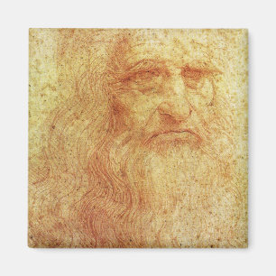 Aimant Leonardo