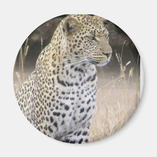 Aimant léopard (Devant)