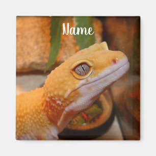 Aimant Léopard Jaune Personnalisé Gecko Lizard