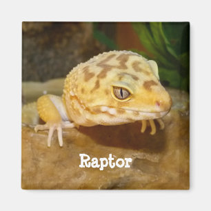 Aimant Leopard personnalisé Gecko Lizard