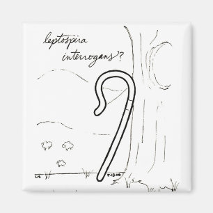 Aimant Leptospira Interrogans
