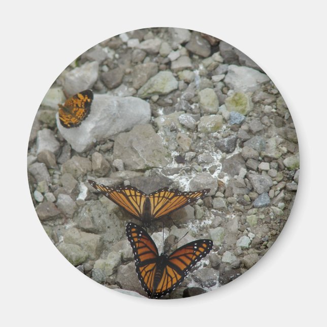 Aimant Les 3 papillons (Devant)