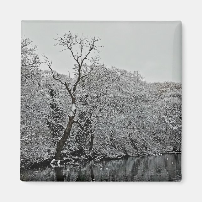 Aimant Les arbres, à l'eau (Devant)