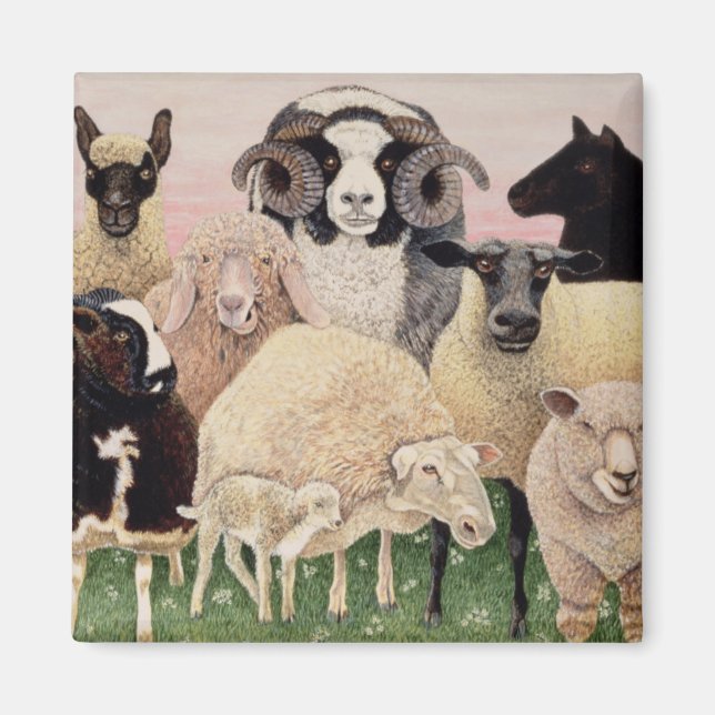 Aimant Les bergers enchantent (Devant)