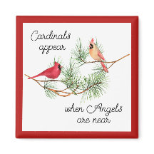 Les cardinaux apparaissent quand les anges sont pr