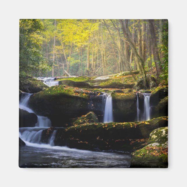Aimant Les cascades | Parc national de Great Smoky Mounta (Devant)