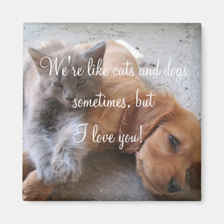 Aimant Les chats et les chiens aiment l'aimant