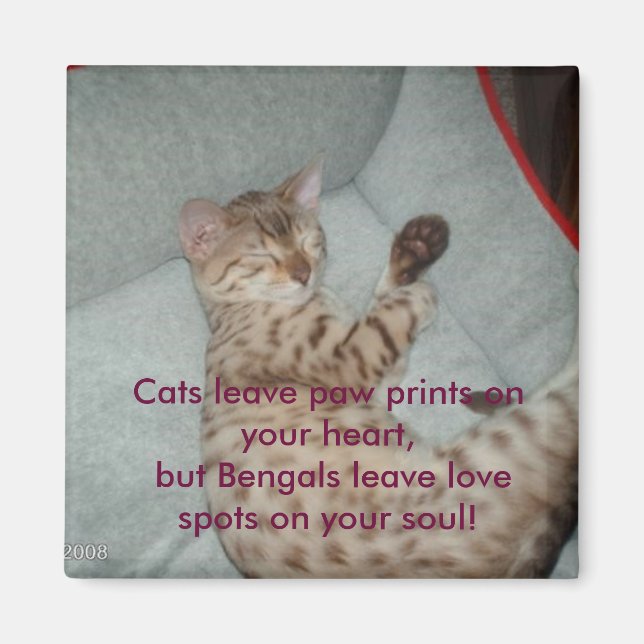 Aimant Les chats vous laissent des empreintes de pattes,  (Devant)