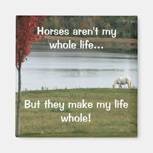Aimant Les chevaux ne sont pas ma vie entière (Devant)