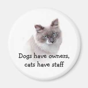 Aimant - les chiens ont des propriétaires, chats