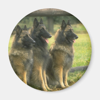 Aimant Les Dogs de German