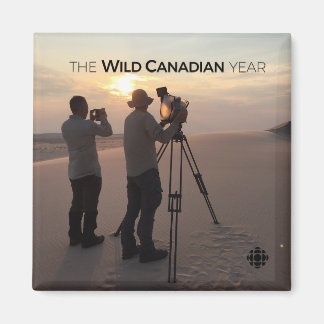 Aimant Les dunes de sable d'Athabasca