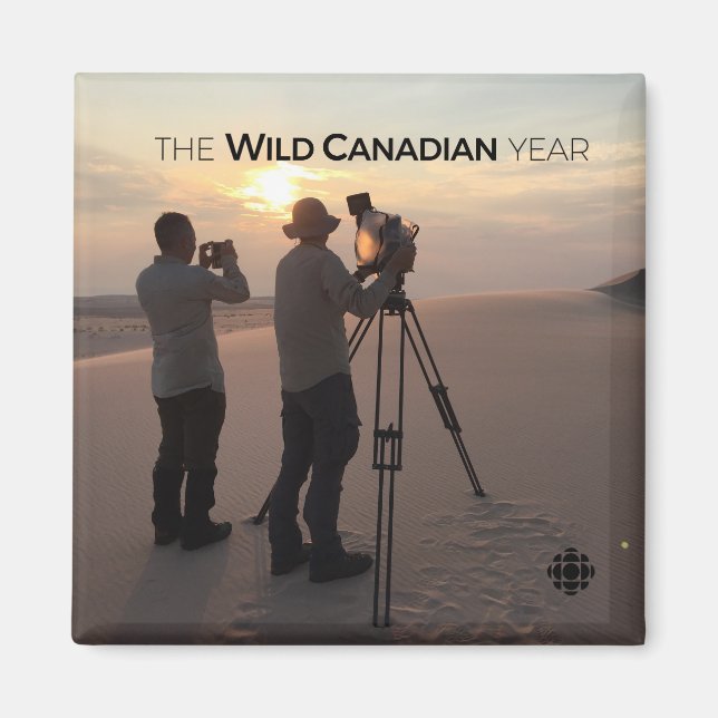 Aimant Les dunes de sable d'Athabasca (Devant)