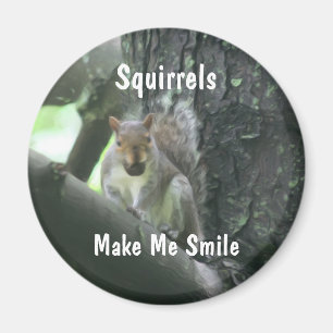 Aimant Les écureuils me font l'aimant d'animal de sourire