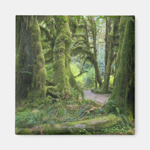 Aimant Les Etats-Unis, Washington, parc national