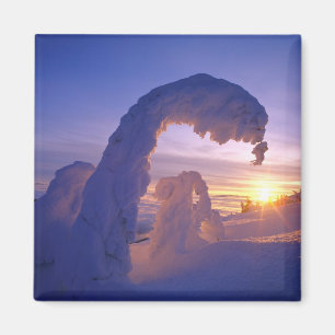 Aimant Les fantômes de neige dans le massif de corégones 