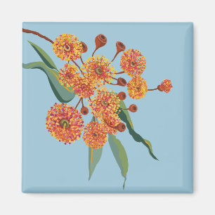 Aimant Les fleurs de gommiers australiens