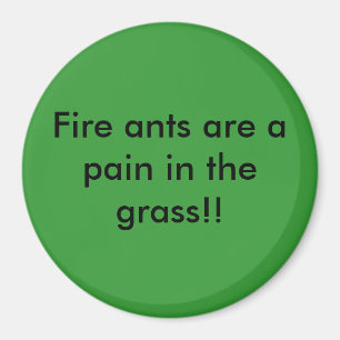 Aimant Les fourmis de feu sont une douleur dans l'herbe !